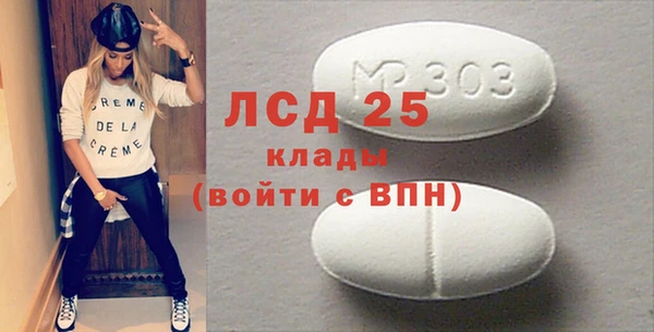индика Абинск
