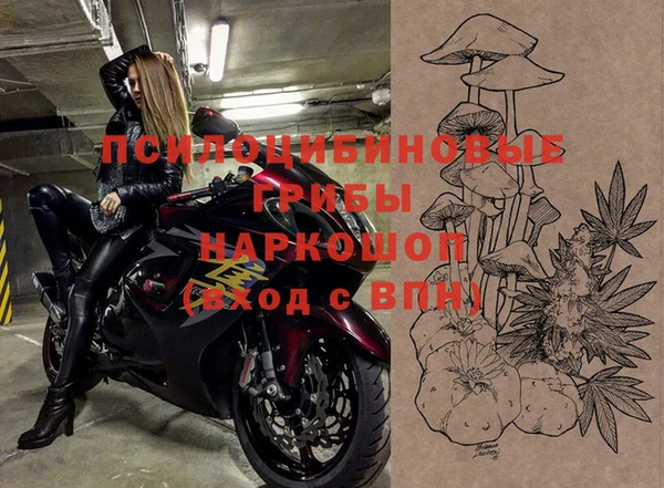 индика Абинск