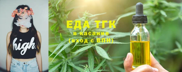 индика Абинск
