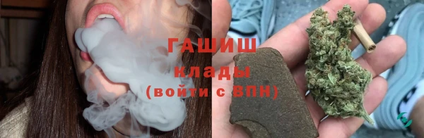 индика Абинск