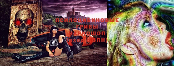 сатива Абдулино
