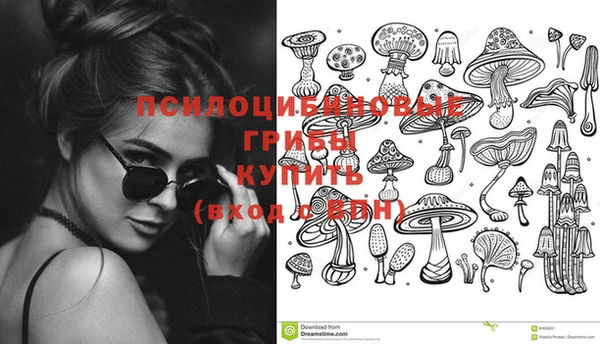 молекула духа Алексеевка
