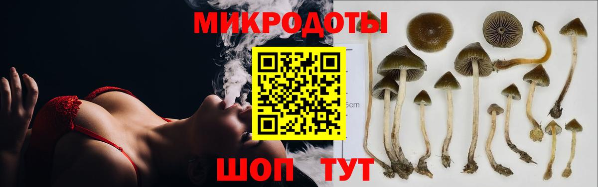 Псилоцибиновые грибы мухоморы  Вход с VPN  купить  цена  Алексеевка  Псилоцибиновые грибы Cubensis 